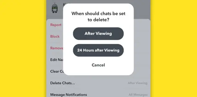 Remove Old Chats From Your Snapchat Account